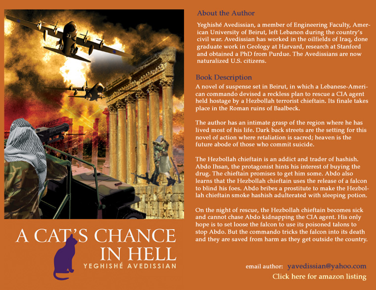 a cats chance in hell by yeghishe avedissian